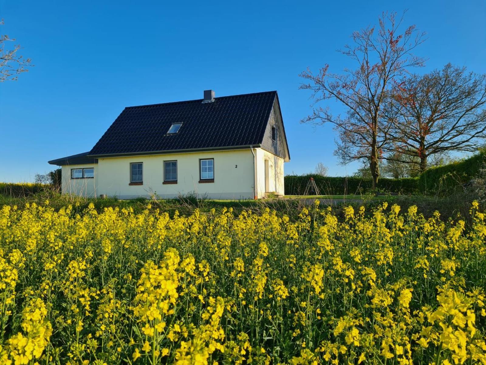 Ferienhaus Loimoos Schnarup-Thumby 외부 사진